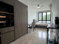 Irwell Hill Residences (D9), Apartment #521273571